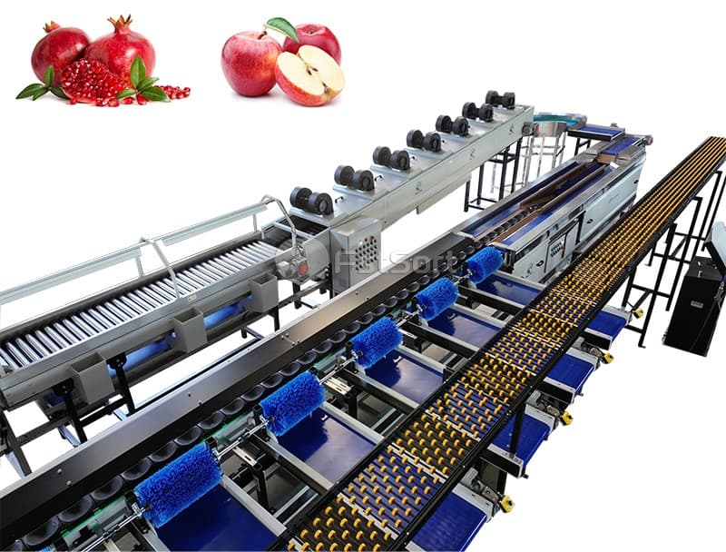 pomegranates sorting packing machine.jpg